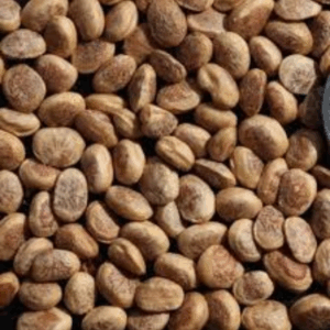 Chironji (Saara Parupu)